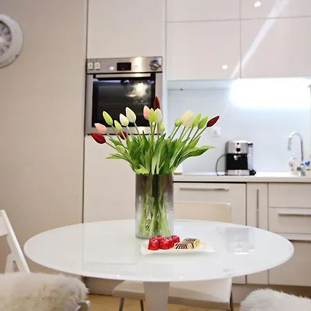 Apartman White Stone - Diocletian Palace